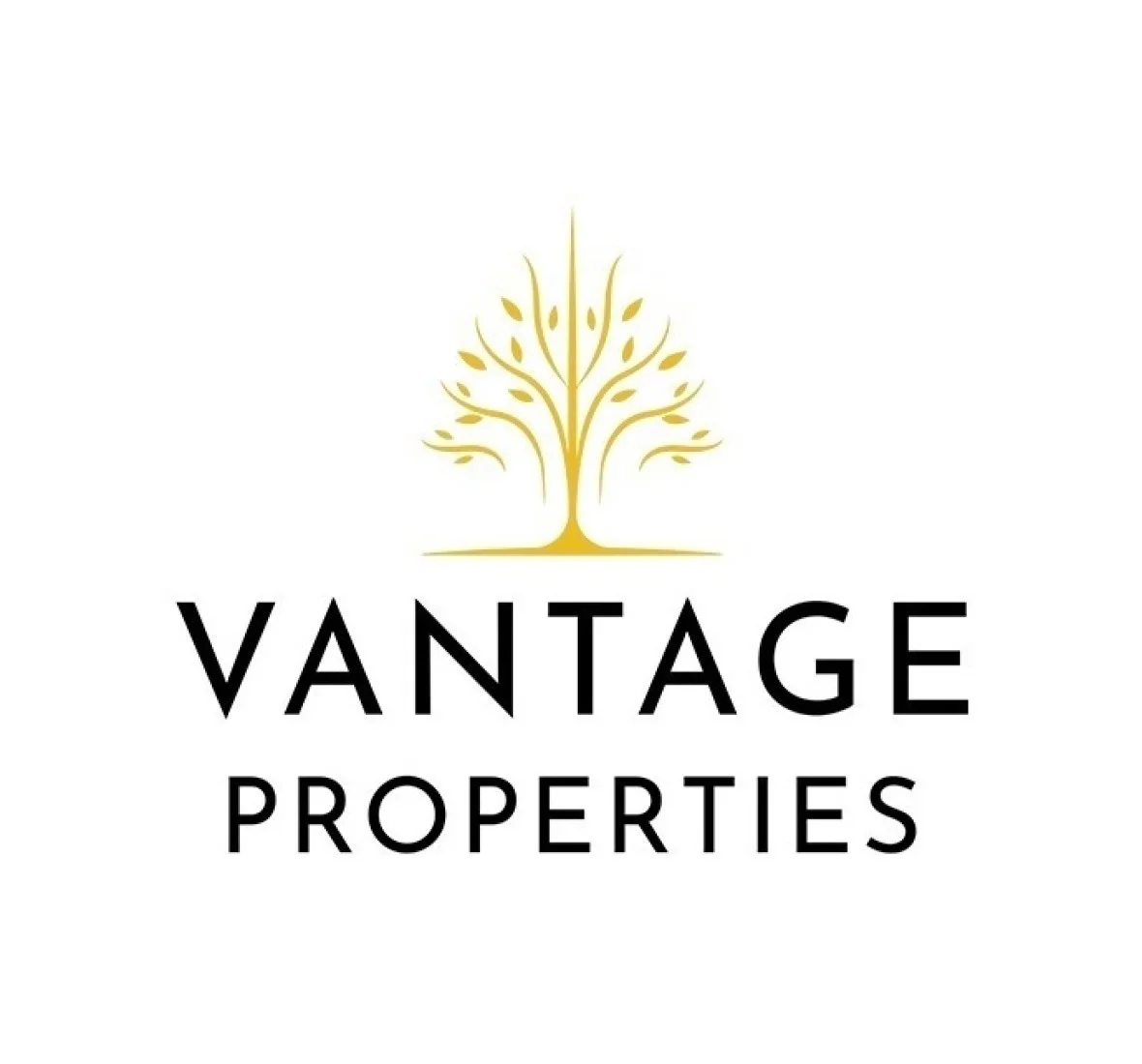 Vantage Properties logo