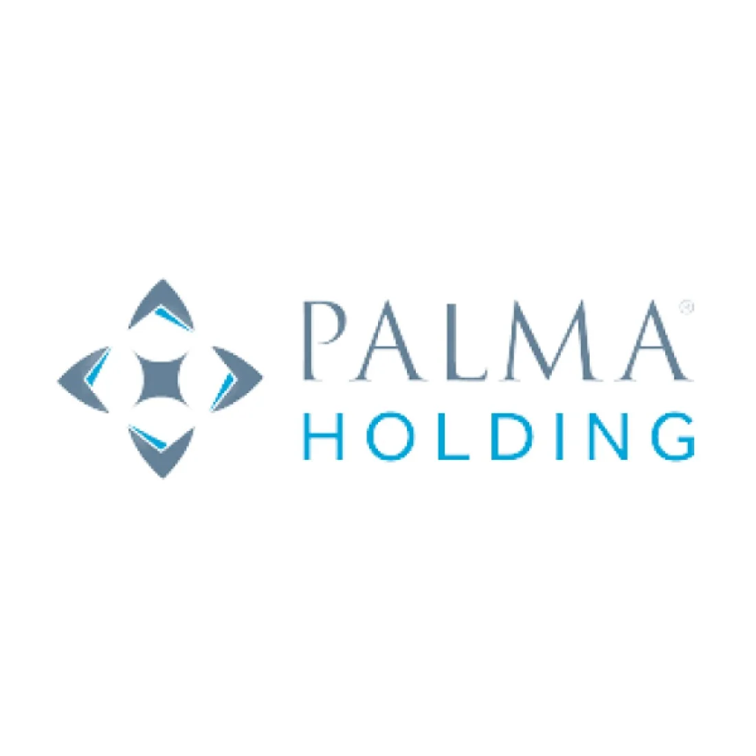 Palma Holdings logo