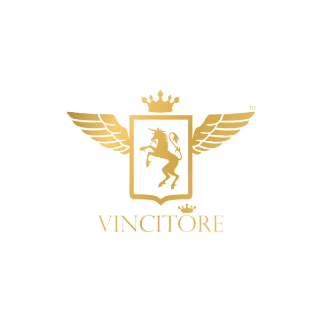 Vincitore logo