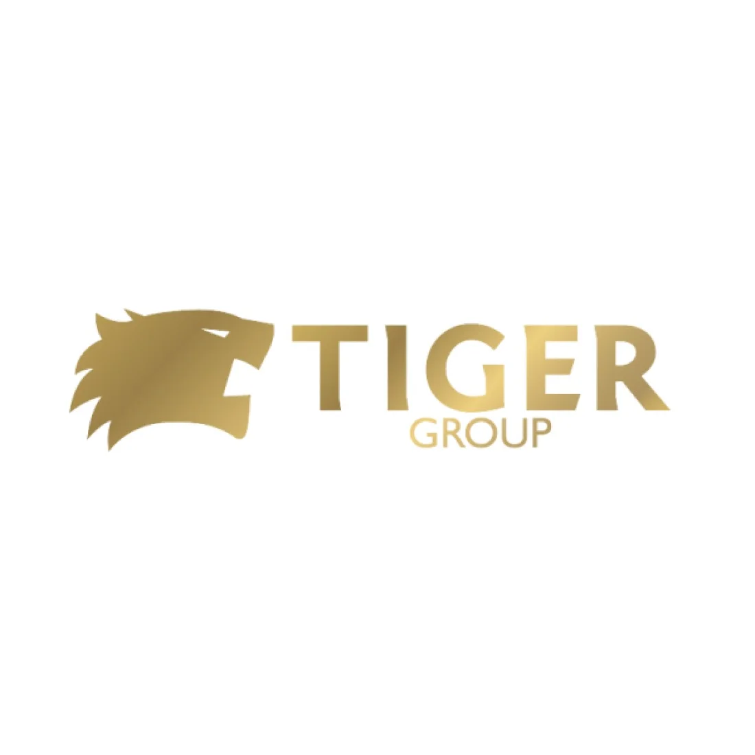 Tiger logo