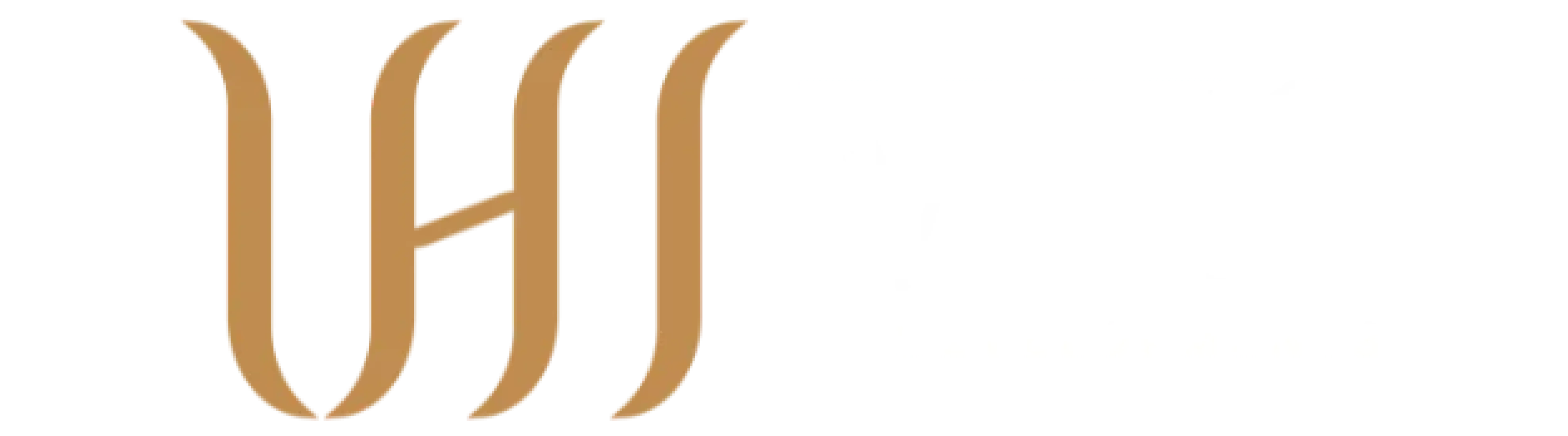 VHS Developments logo