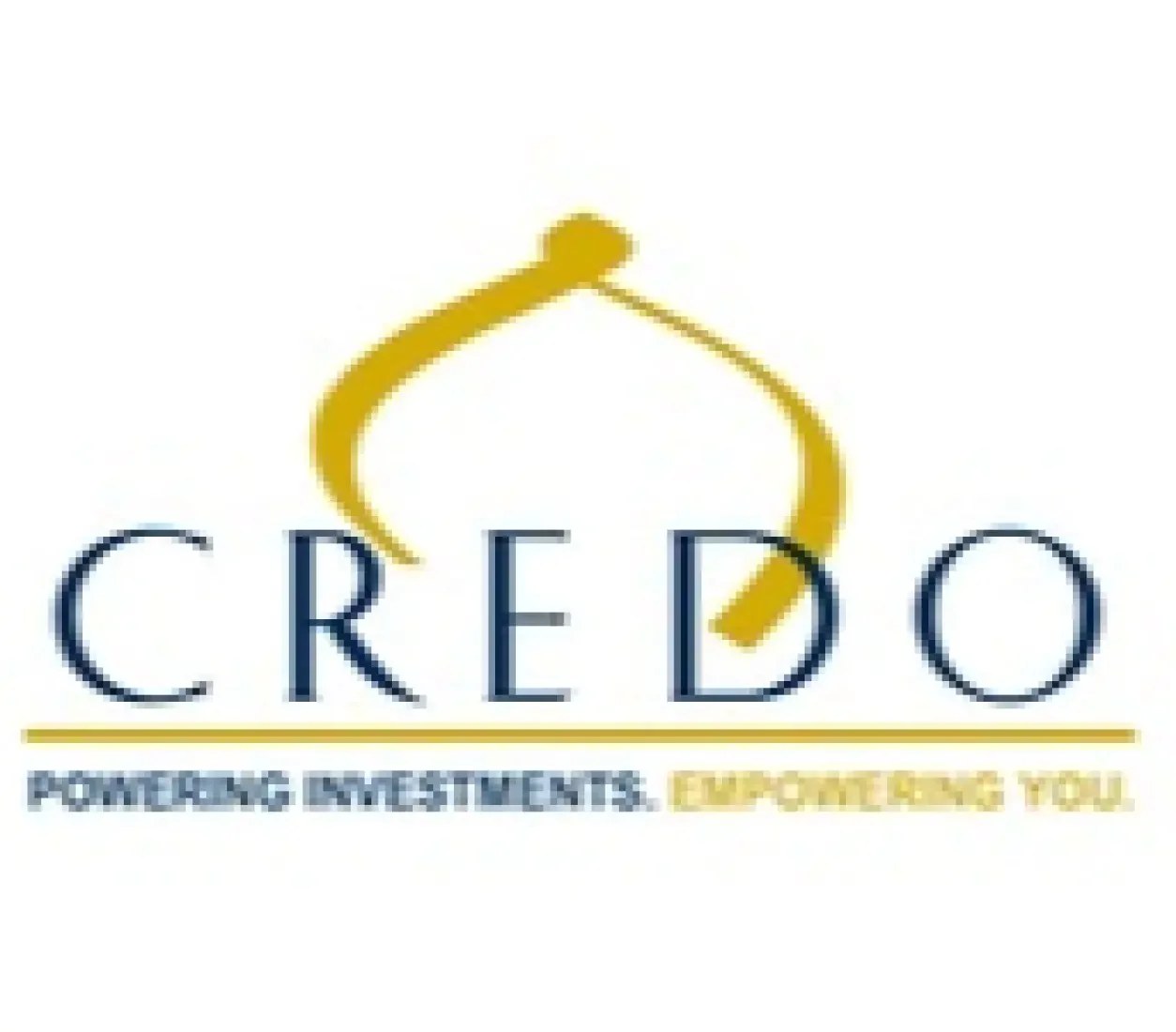Credo Investments FZE logo