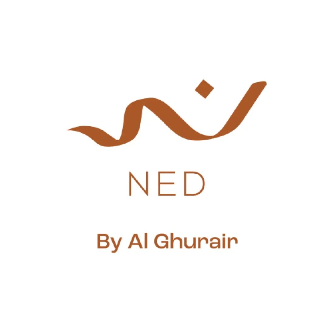 NED Properties logo