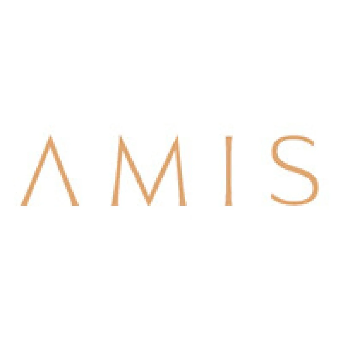 Amis Properties logo